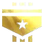 ( 200 Seviye ) Enf Gold